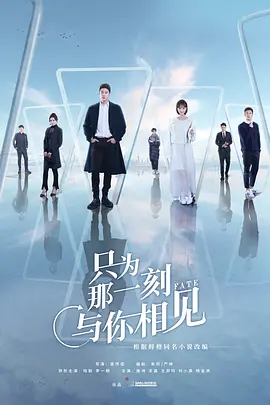 只为那一刻与你相见封面图