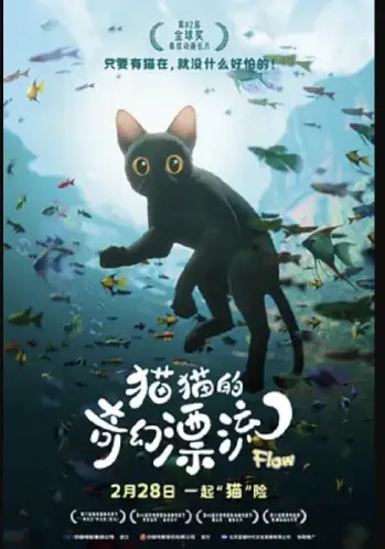 猫猫的奇幻漂流