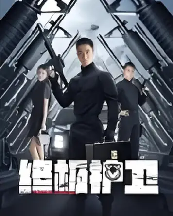 终极护卫